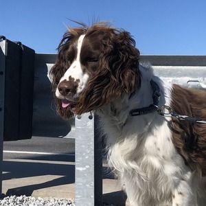 Meet your Posher, William